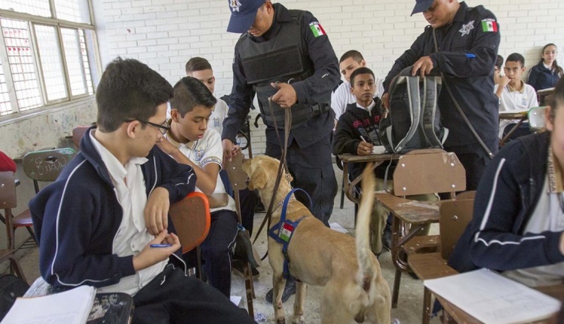 Crece Uso De Armas De Fuego En Escuelas Diario Basta