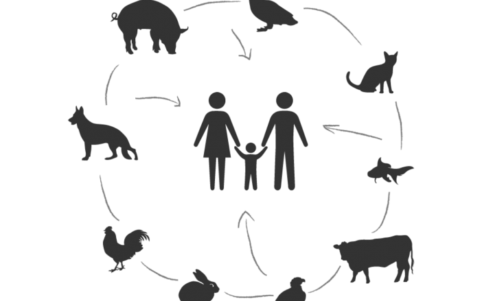 Conoce las Zoonosis - Diario Basta!