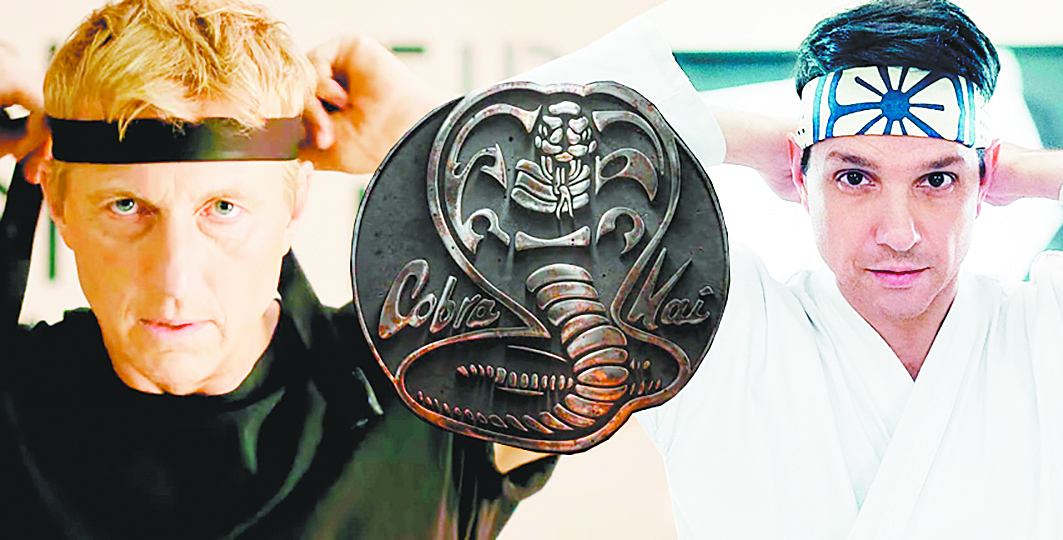 Fotos De Halcón De Cobra Kai