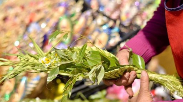 ¿Por qué se celebra Domingo de Ramos?