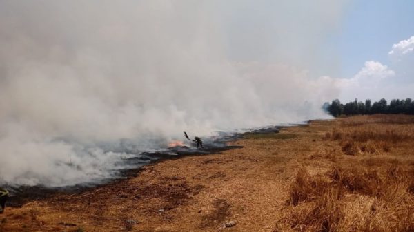 Fuerte Incendio en Xochimilco.