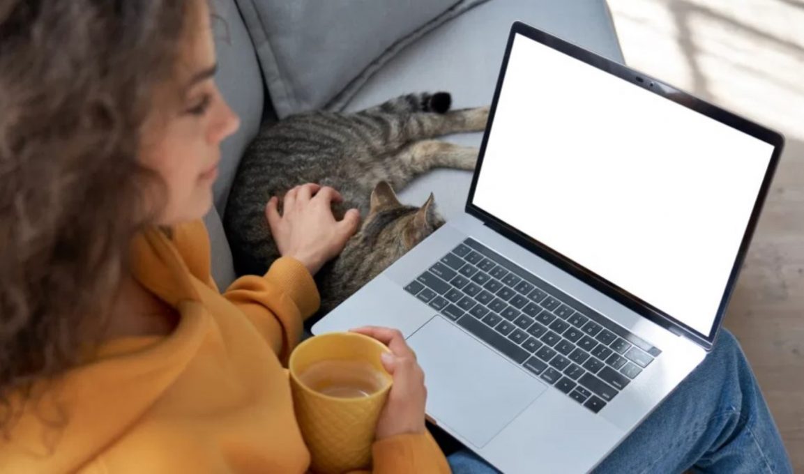 Como Es Mejor Usar La Laptop Conectada O Desconectada