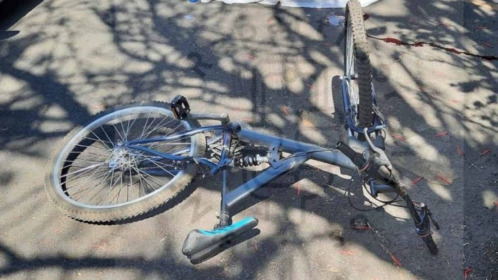 Niño muere arrollado por vehículo; iba a su casa en bicicleta – Diario ...