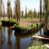 Piden declarar chinampas como patrimonio cultural