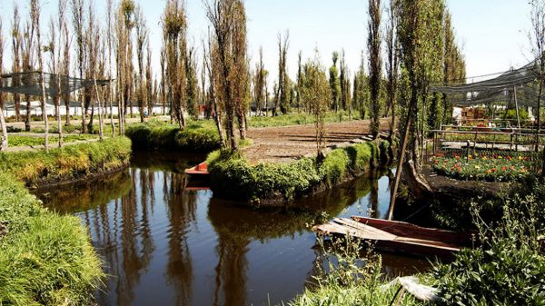 Piden declarar chinampas como patrimonio cultural