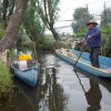 Chinamperos de Xochimilco buscan sacar ventaja tras inundación