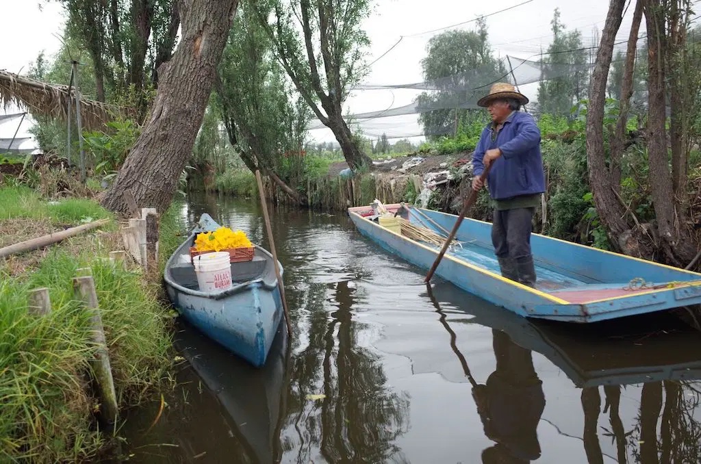 Chinamperos de Xochimilco buscan sacar ventaja tras inundación