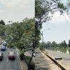 Va contra la Ley el puente en el humedal de Xochimilco