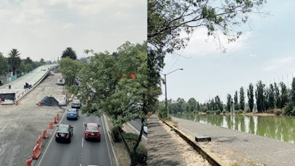 Va contra la Ley el puente en el humedal de Xochimilco