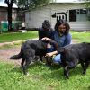 El metro da en adopción a perritos rescatados