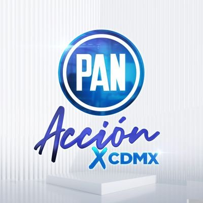 Invirtió el PAN 3.5 mdp en publicidad por Face