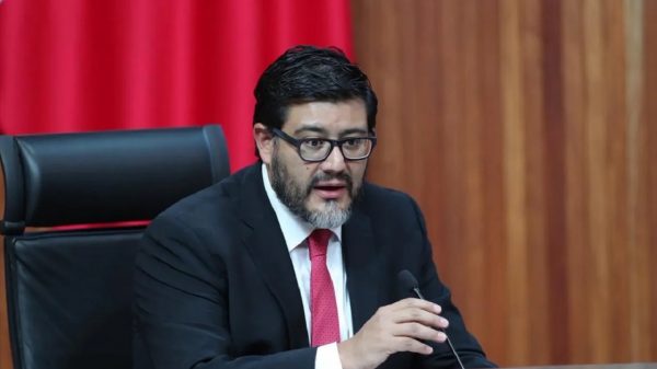 Reyes Rodríguez Mondragón es el nuevo presidente de la Sala Superior del Tribunal Electoral del Poder Judicial de la Federación (TEPJF).