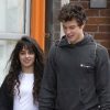 Shawn Mendes y Camila Cabello