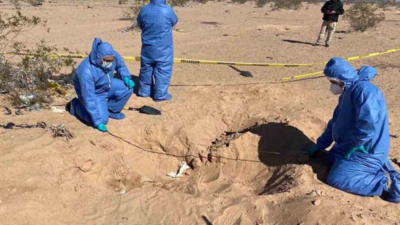 Localizan 11 cuerpos en fosas clandestinas en Sonora; dos son de mujeres