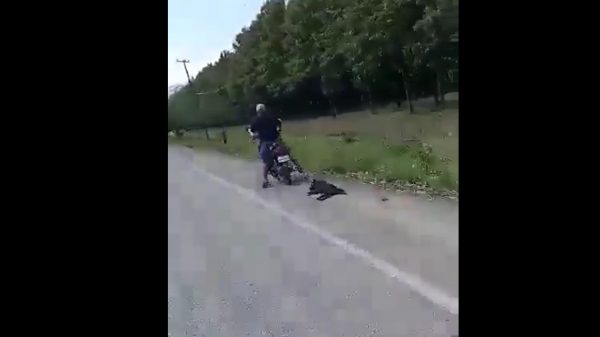 Motociclista arrastra a perrito en Tacotalpa