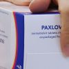 Producirán versión genérica de píldora contra Covid-19 de Pfizer