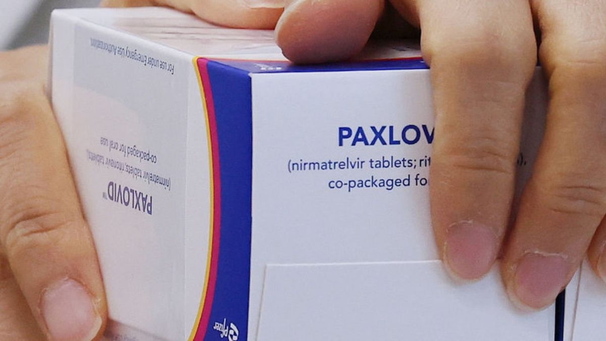 Producirán versión genérica de píldora contra Covid-19 de Pfizer