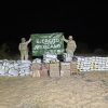 Golpe al narco: confiscan más de 2 toneladas de drogas en Sonora