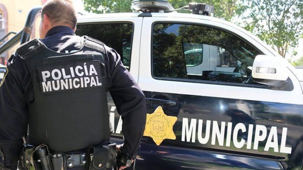 Hallan cuerpos de padre e hijo en Querétaro; se habrían atacado con arma de fuego