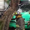 Al menos 13 heridos por choque de camión contra árbol en Miramontes