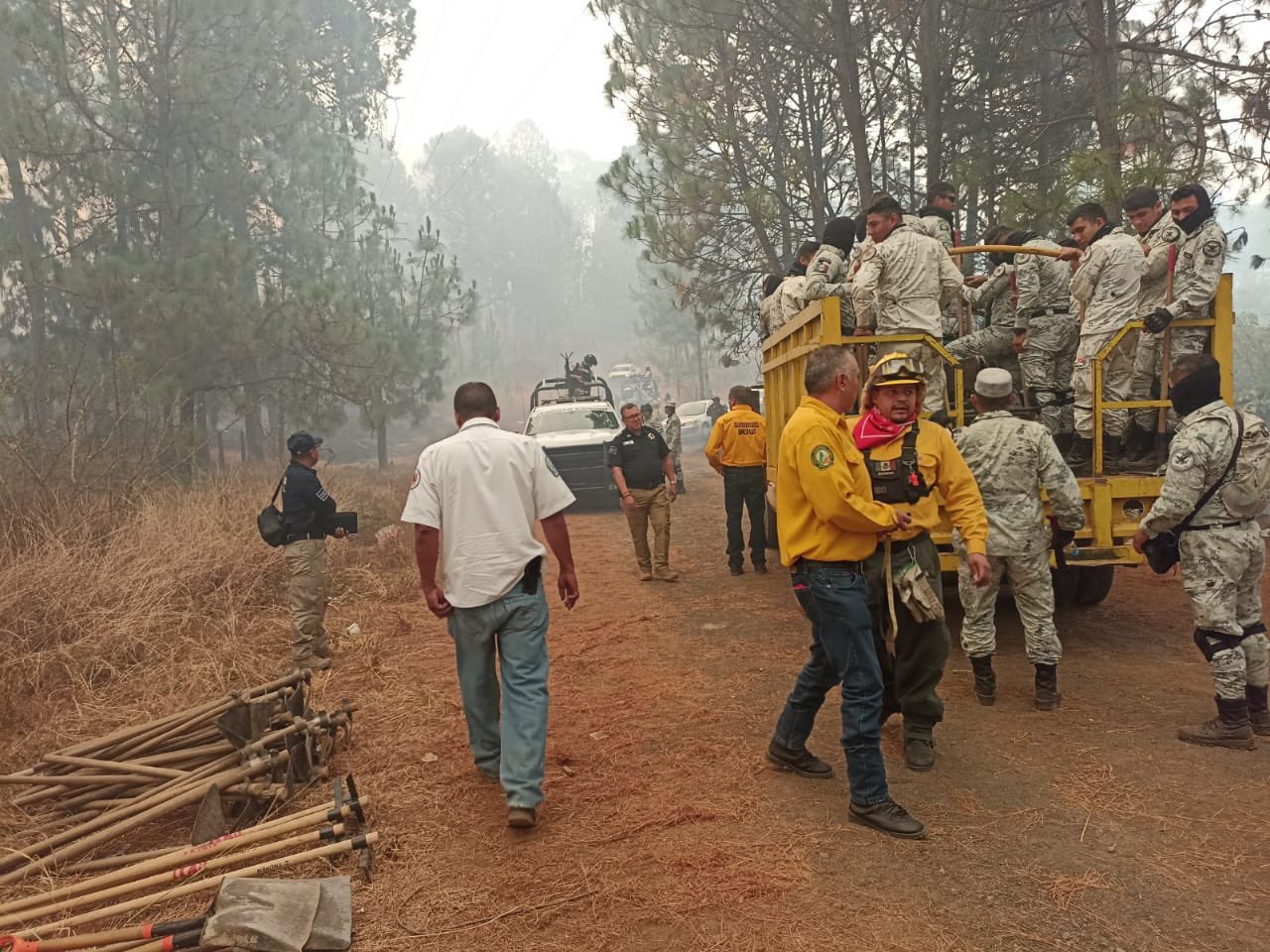 Incendio en el bosque de Uruapan