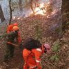 Cuatro de cada 10 incendios forestales son por actividades ilícitas