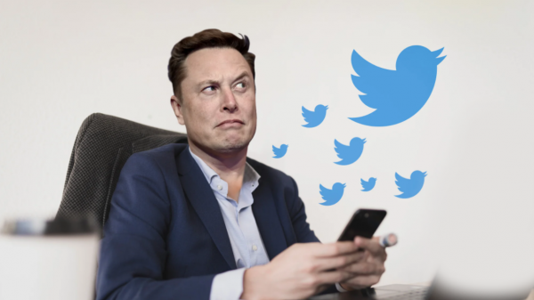 Suspende Elon Musk compra venta de Twitter