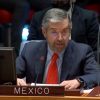 México mantendrá su posición, ante conflicto en Ucrania