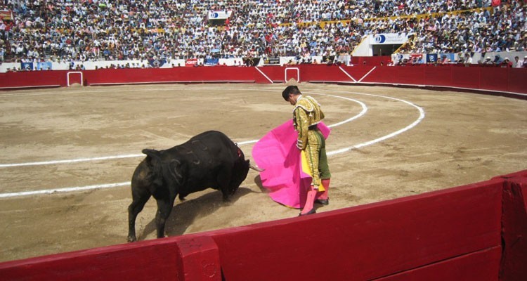 Prohíben corrida de toros en CDMX