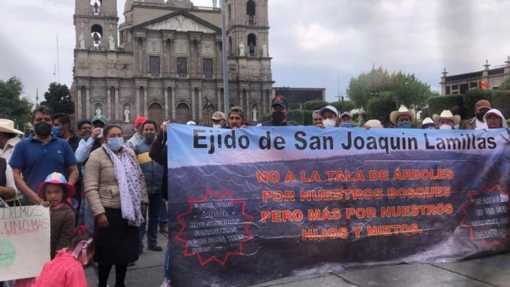 Ecocide accused in San José del Rincón – Diario Basta!