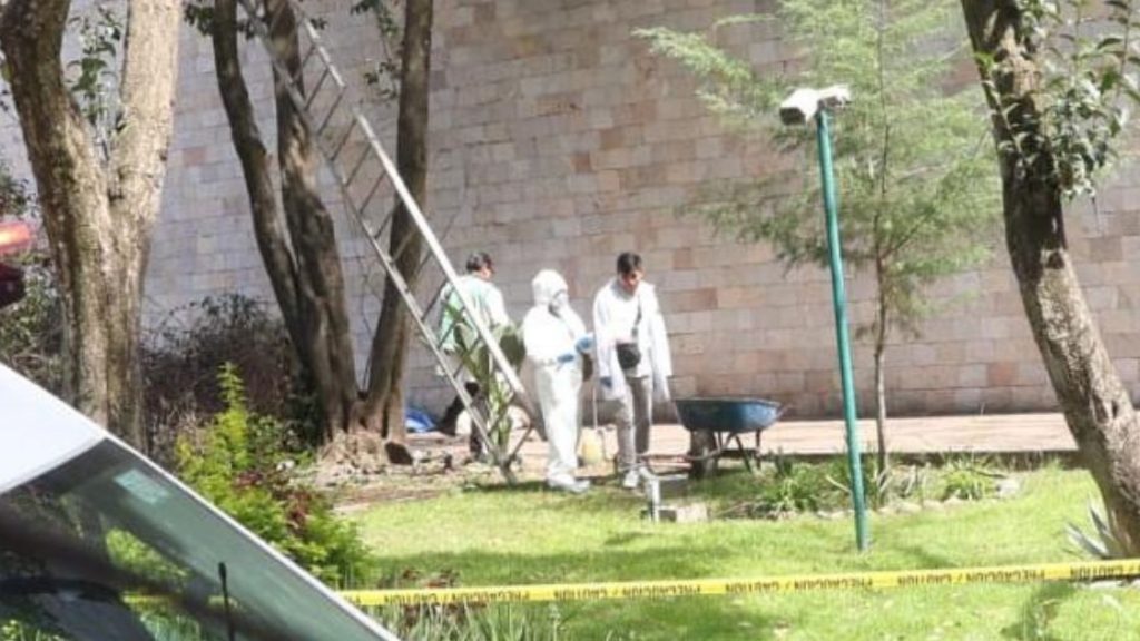 Muere hombre al caer de árbol que podaba en el Museo de Antropología ...
